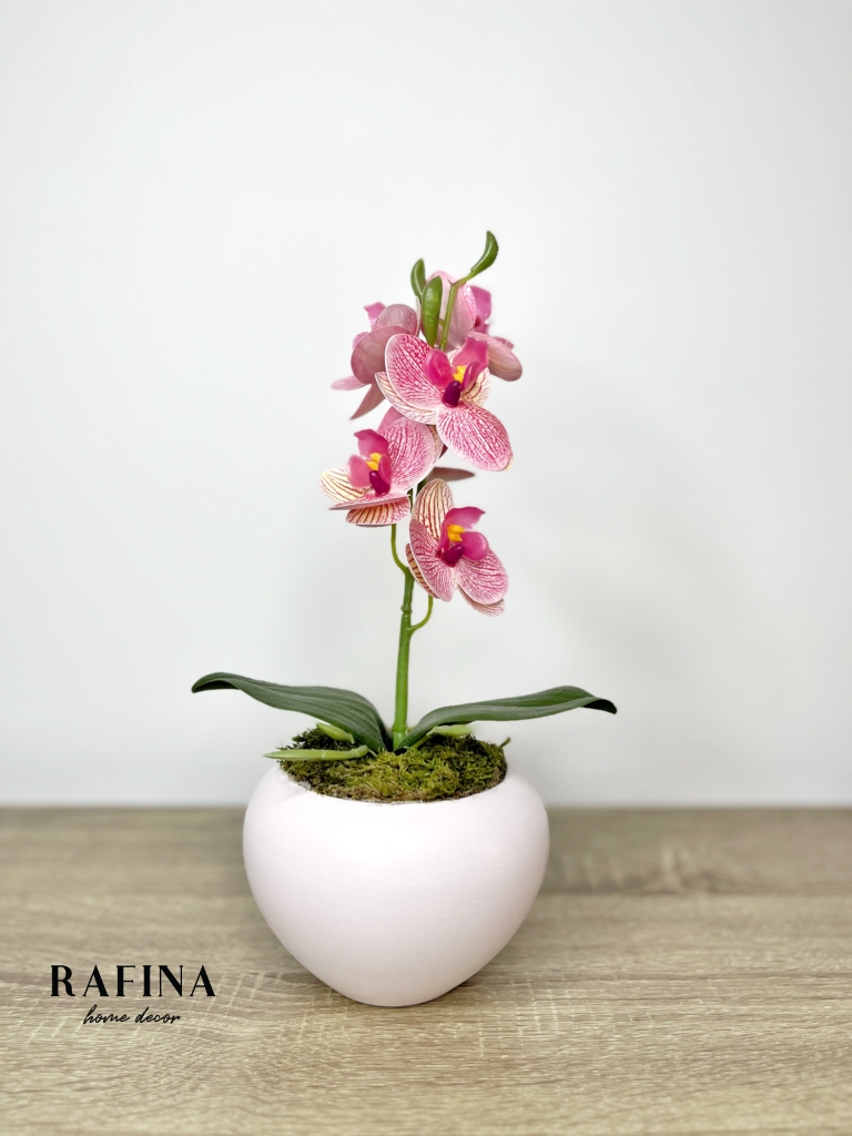 1 szálas orchidea