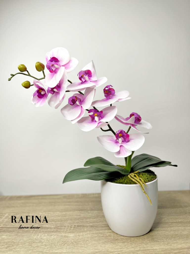 1 szálas orchidea 