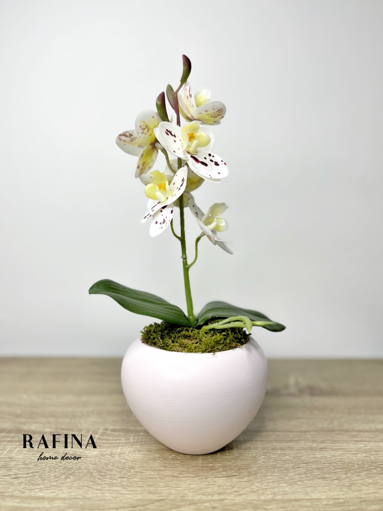 1 szálas orchidea