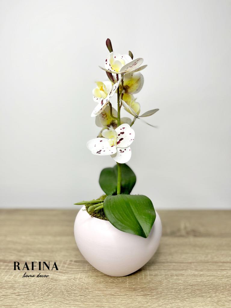 1 szálas orchidea