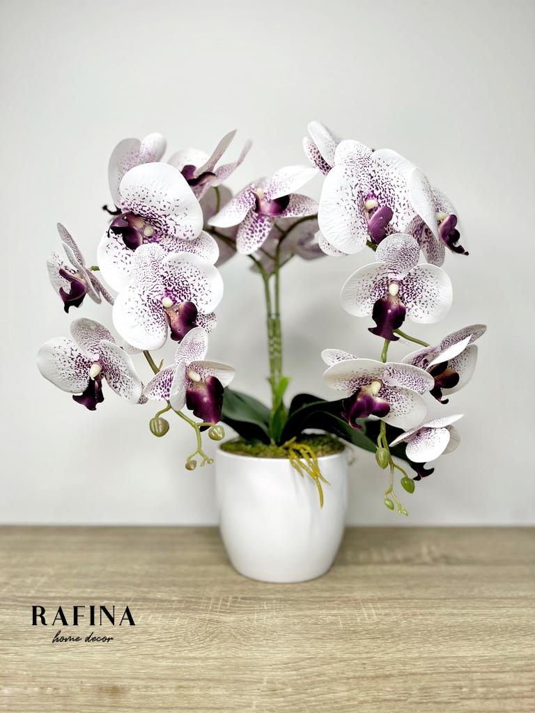 2 szálas orchidea